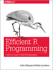 Efficient R programming