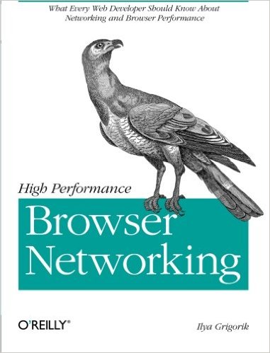 High Performance Browser Networking