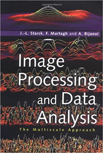 Image Processing and Data Analysis: The Multiscale Approach